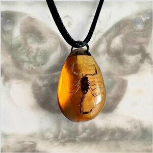 Fairy Grunge Resin Amber Style Scorpion Pendant Black Necklace 🦂💀